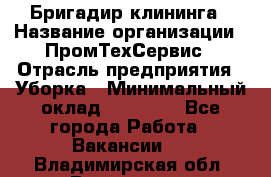 Бригадир клининга › Название организации ­ ПромТехСервис › Отрасль предприятия ­ Уборка › Минимальный оклад ­ 30 000 - Все города Работа » Вакансии   . Владимирская обл.,Владимир г.